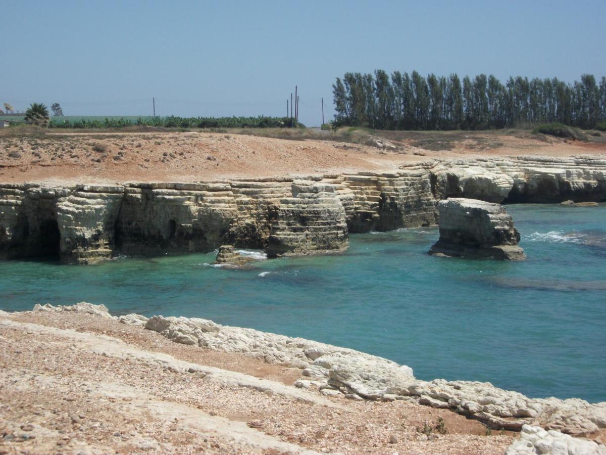 פאהיה Villa Laurel מראה חיצוני תמונה